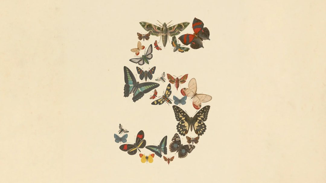 company-02.jpg