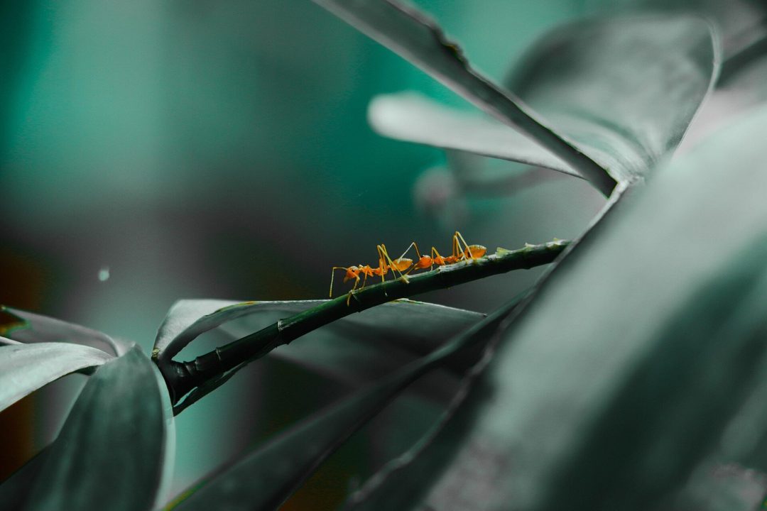 company-02.jpg